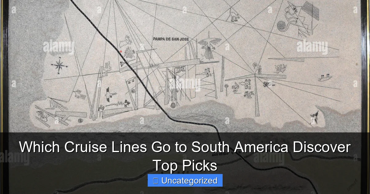 Which Cruise Lines Go to South America Discover Top Picks