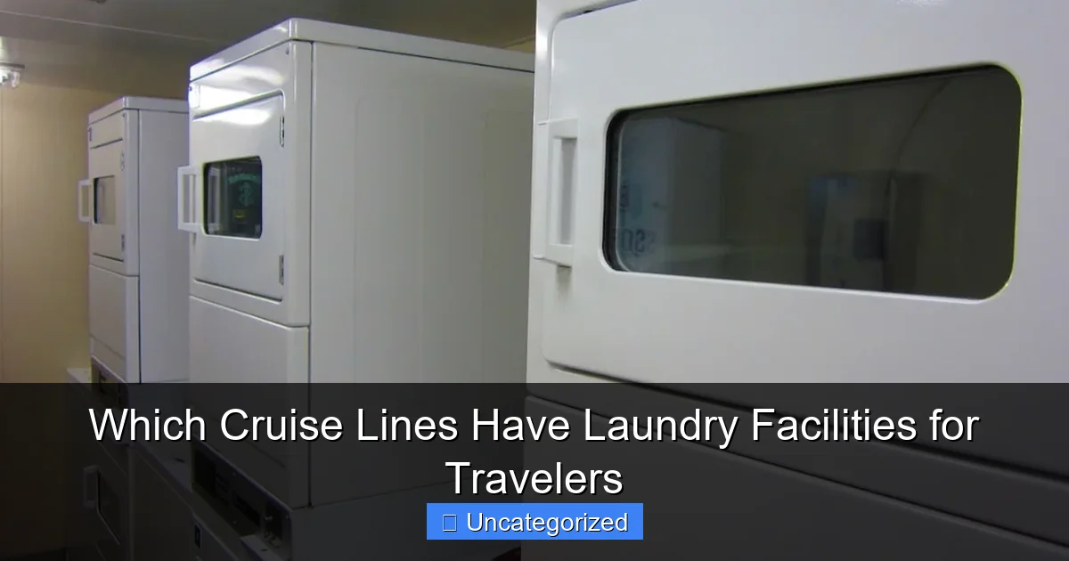 Which Cruise Lines Have Laundry Facilities for Travelers