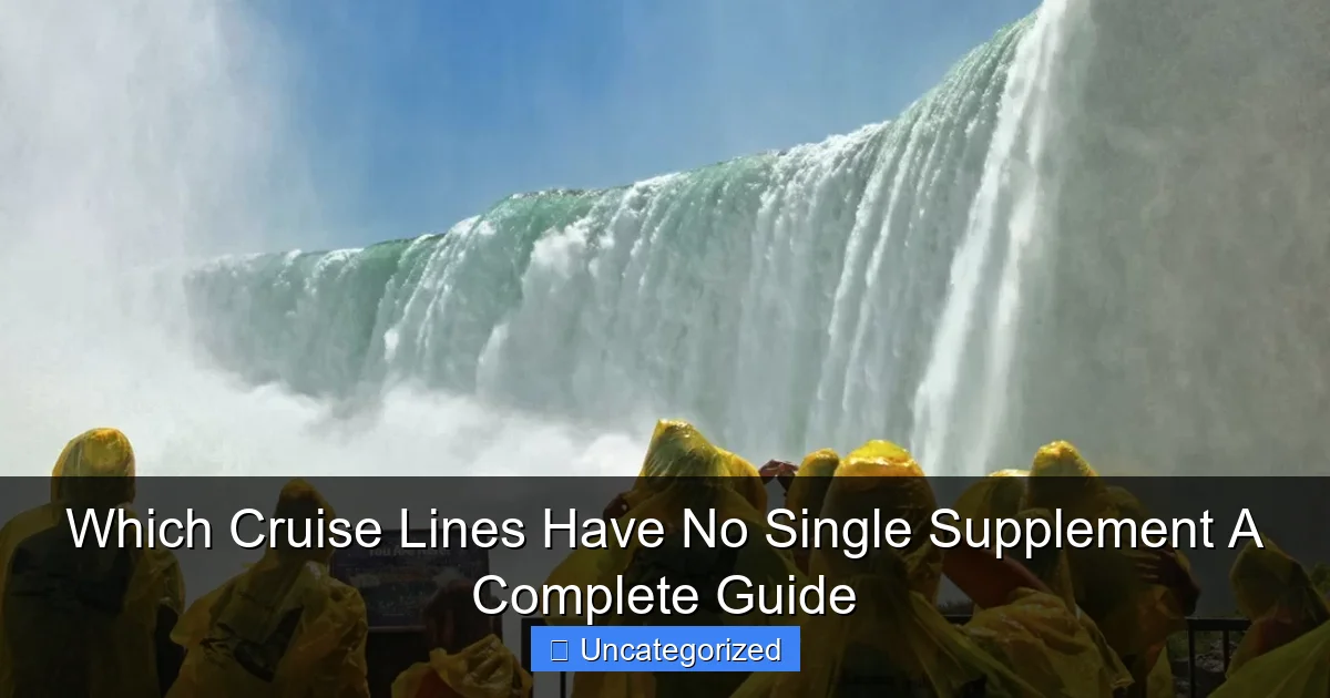 Which Cruise Lines Have No Single Supplement A Complete Guide