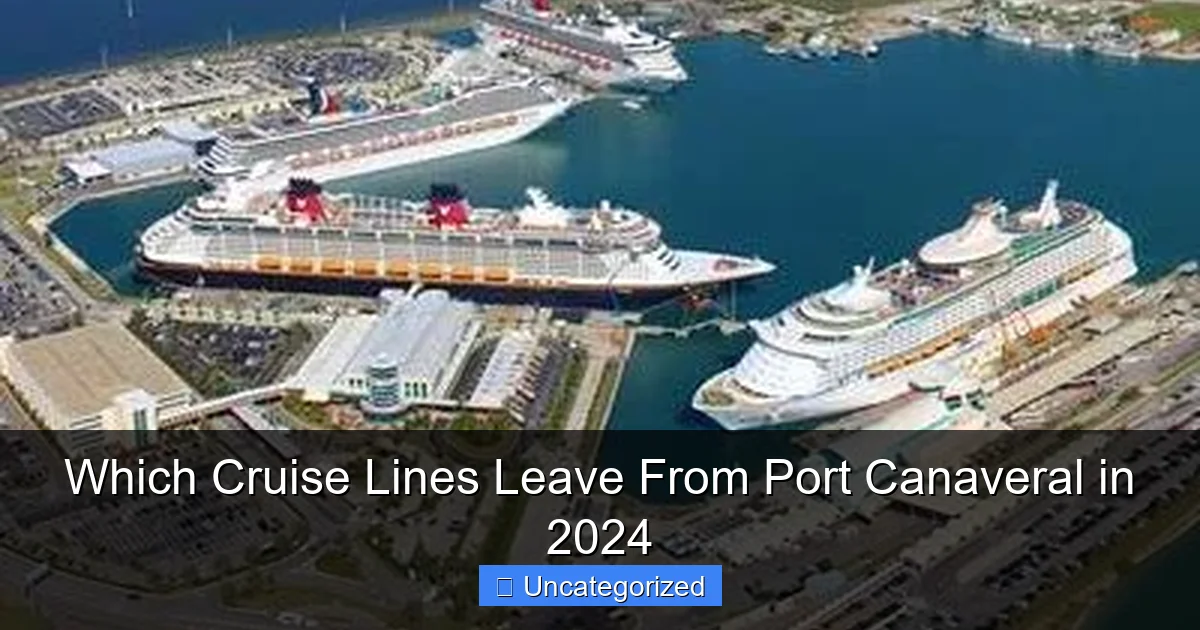 Which Cruise Lines Leave From Port Canaveral in 2024