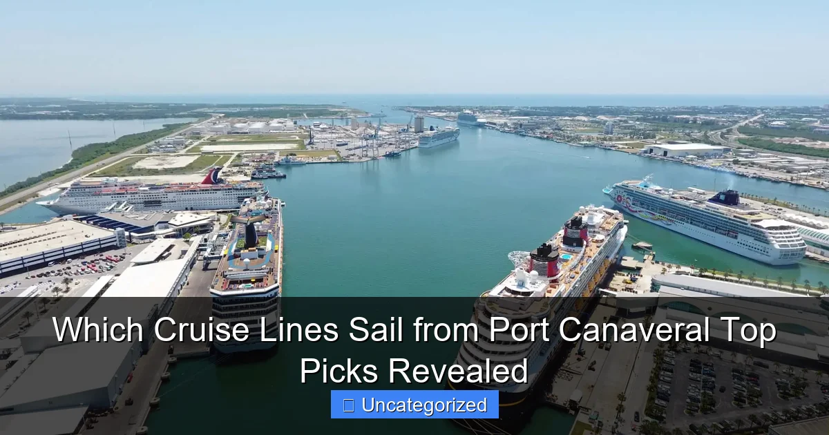Which Cruise Lines Sail from Port Canaveral Top Picks Revealed