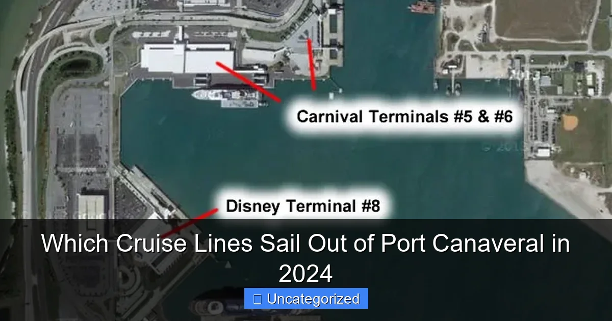Which Cruise Lines Sail Out of Port Canaveral in 2024
