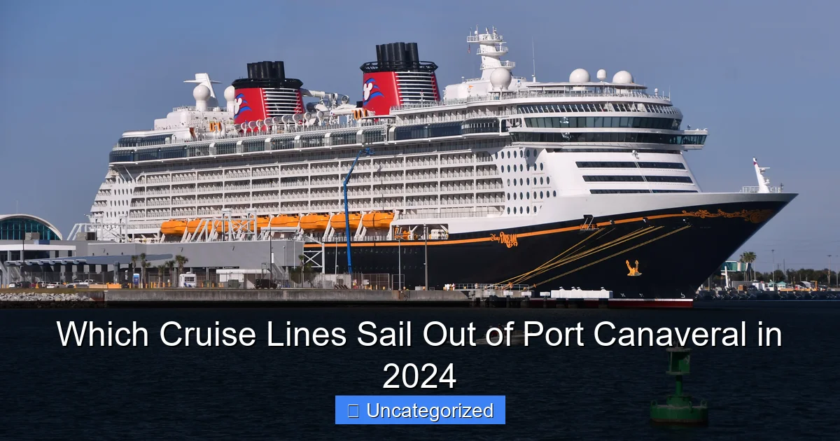 Which Cruise Lines Sail Out of Port Canaveral in 2024