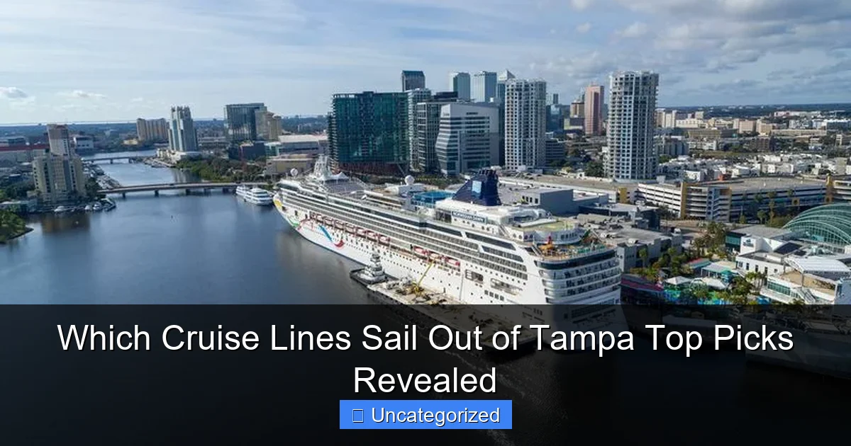 Which Cruise Lines Sail Out of Tampa Top Picks Revealed