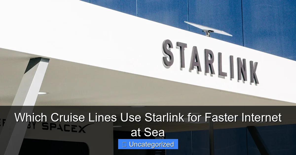 Which Cruise Lines Use Starlink for Faster Internet at Sea
