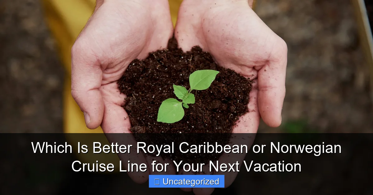 Which Is Better Royal Caribbean or Norwegian Cruise Line for Your Next Vacation