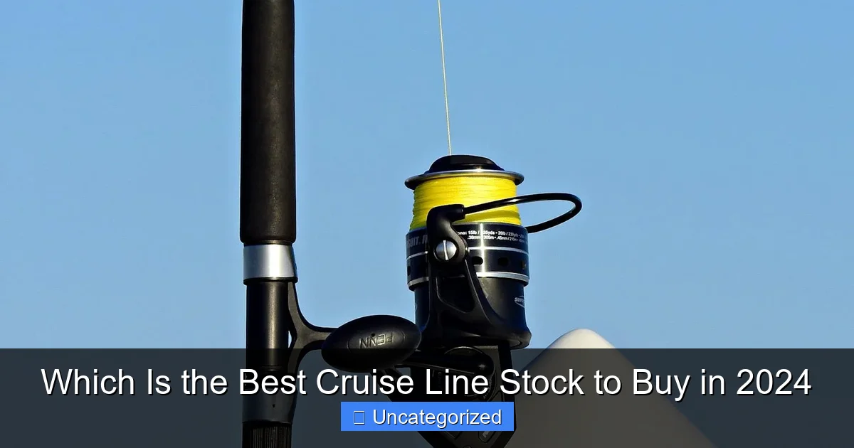 Which Is the Best Cruise Line Stock to Buy in 2024