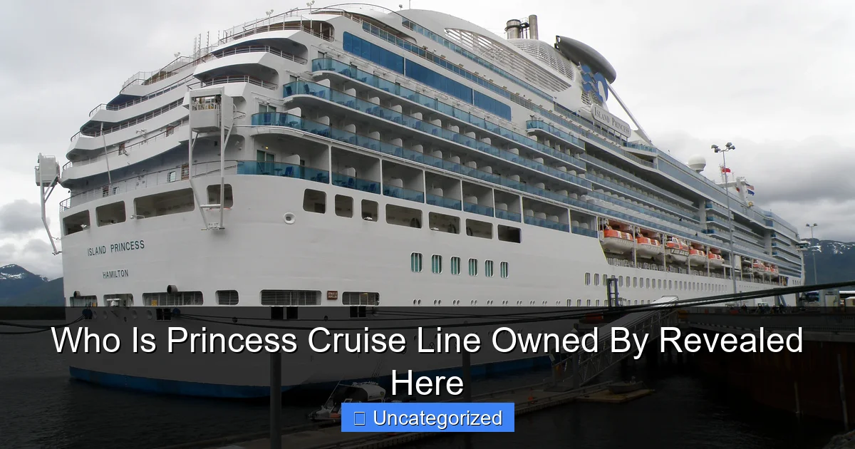 Who Is Princess Cruise Line Owned By Revealed Here