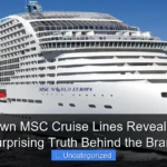 Who Own MSC Cruise Lines Revealed The Surprising Truth Behind the Brand