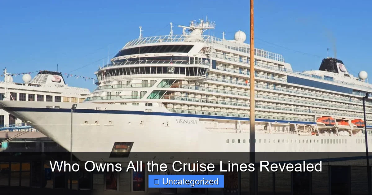 Who Owns All the Cruise Lines Revealed