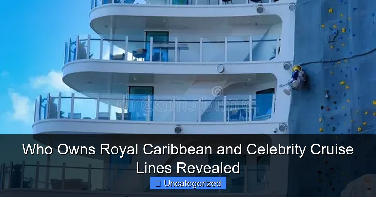 Who Owns Royal Caribbean and Celebrity Cruise Lines Revealed