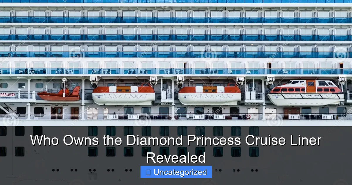 Who Owns the Diamond Princess Cruise Liner Revealed