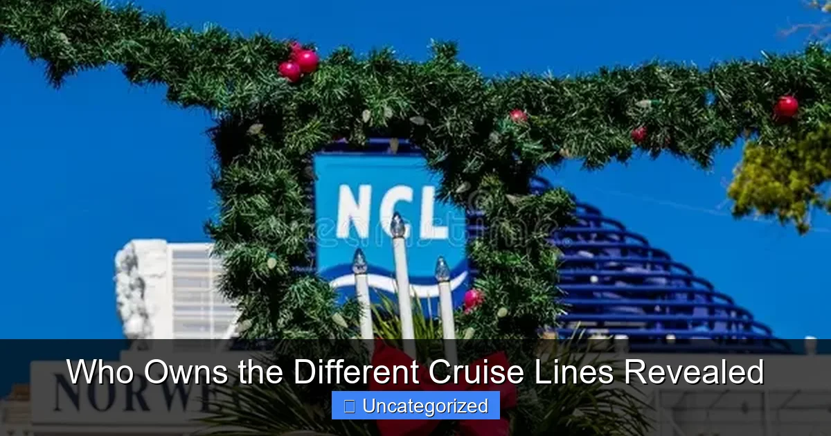 Who Owns the Different Cruise Lines Revealed