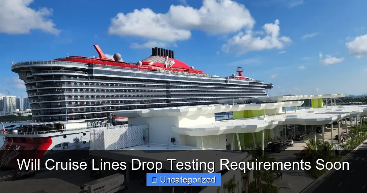 Will Cruise Lines Drop Testing Requirements Soon