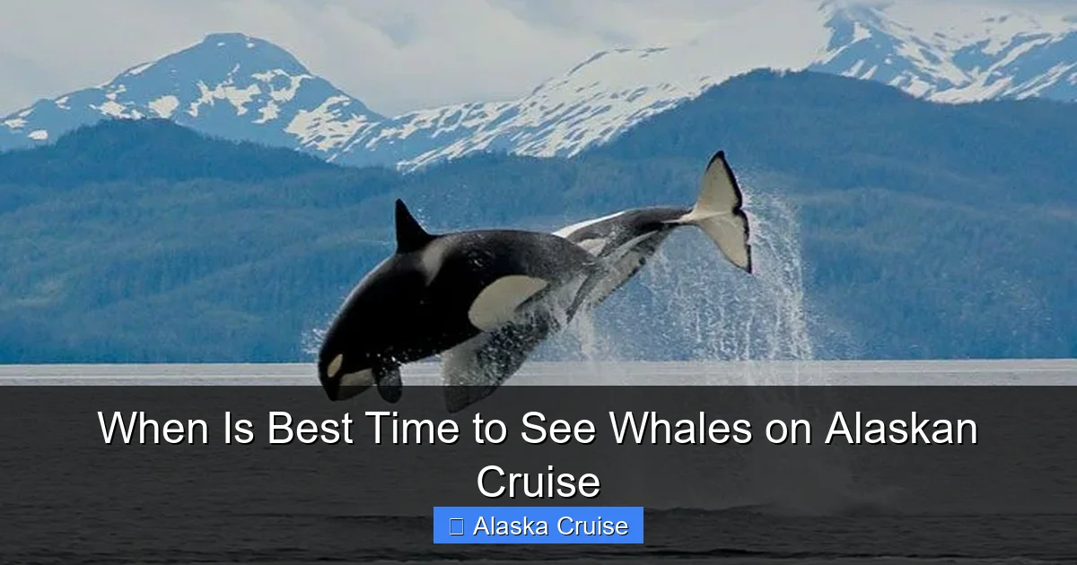 When Is Best Time to See Whales on Alaskan Cruise