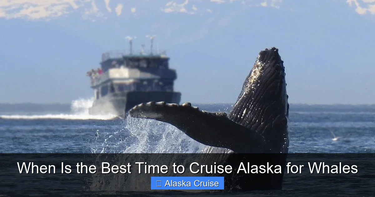 When Is the Best Time to Cruise Alaska for Whales