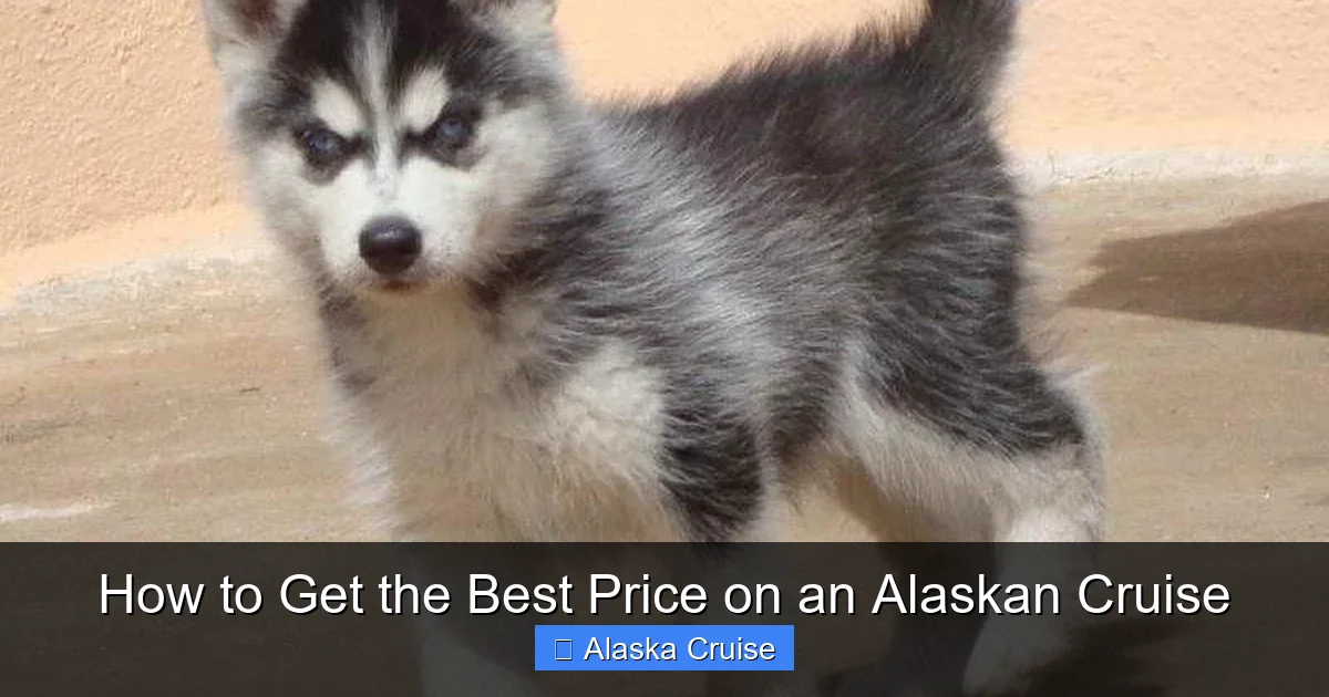 How to Get the Best Price on an Alaskan Cruise