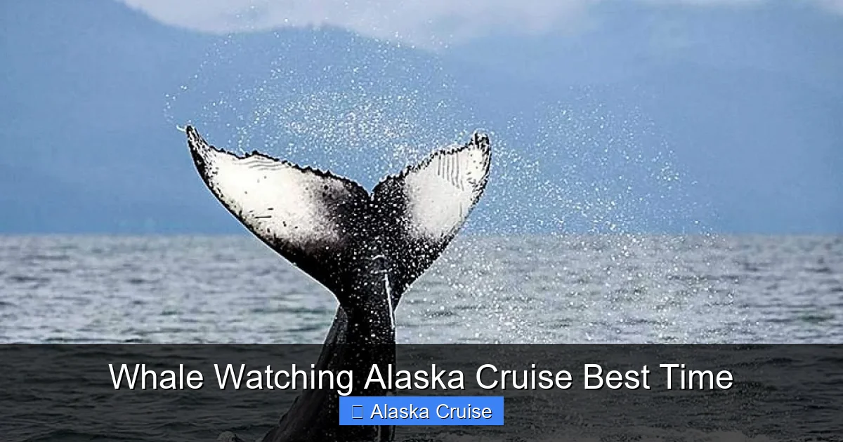 Whale Watching Alaska Cruise Best Time