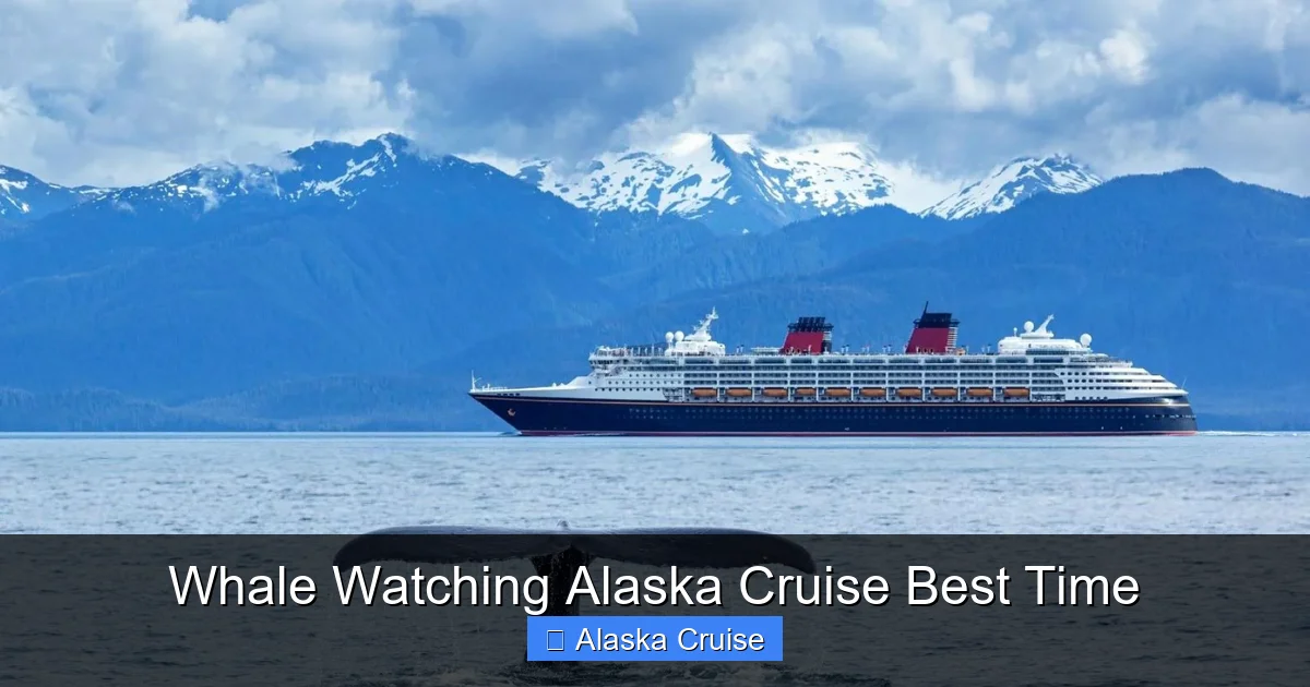 Whale Watching Alaska Cruise Best Time