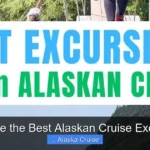 What Are the Best Alaskan Cruise Excursions