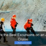 What Are the Best Excursions on an Alaskan Cruise