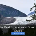 What Are the Best Excursions to Book on Alaskan Cruise
