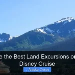 What Are the Best Land Excursions on Alaska Disney Cruise