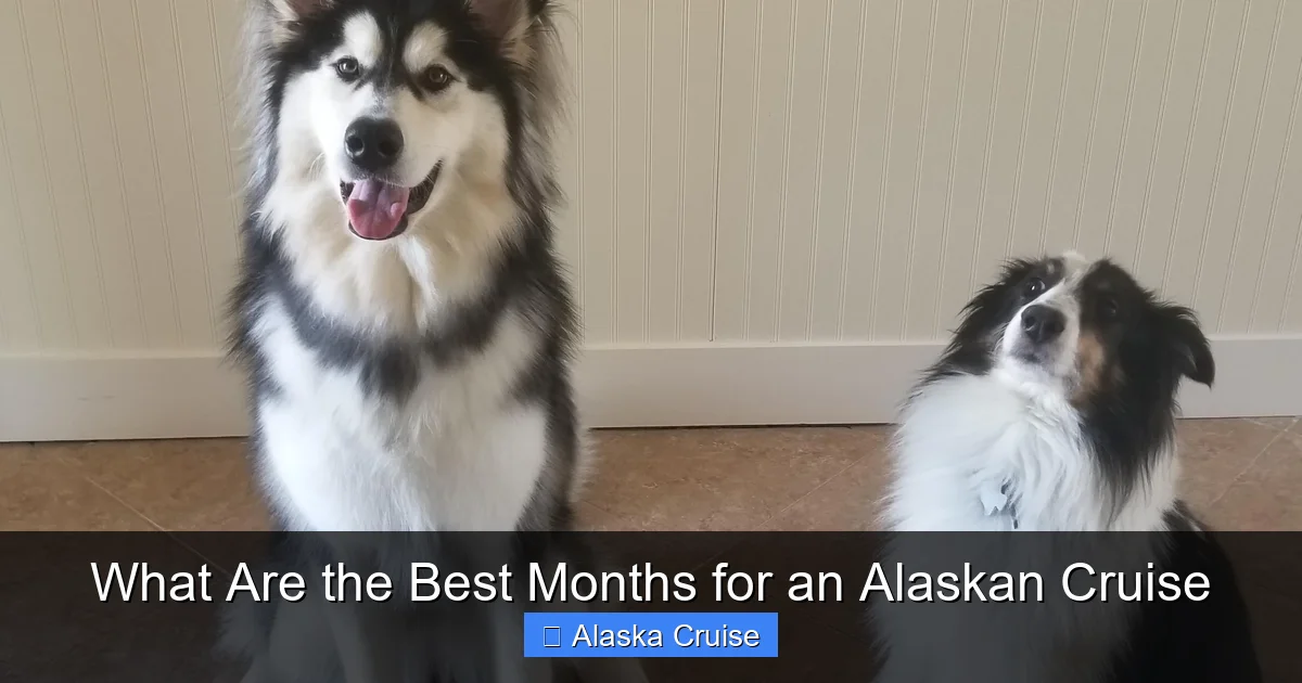 What Are the Best Months for an Alaskan Cruise