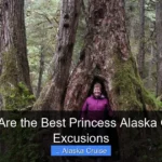 What Are the Best Princess Alaska Cruise Excusions