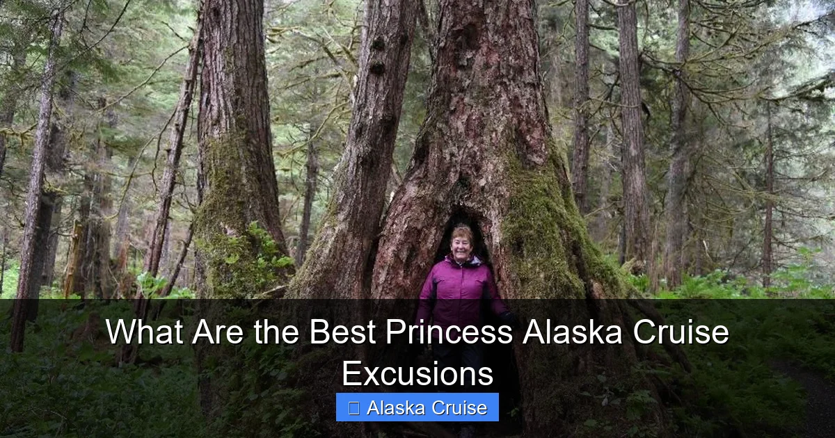 What Are the Best Princess Alaska Cruise Excusions