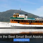 What Are the Best Small Boat Alaska Cruises