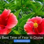 What Is Best Time of Year to Cruise Alaska