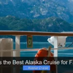 What Is the Best Alaska Cruise for Families