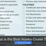 What Is the Best Alaska Cruise Tour