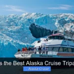 What Is the Best Alaska Cruise Tripadvisor