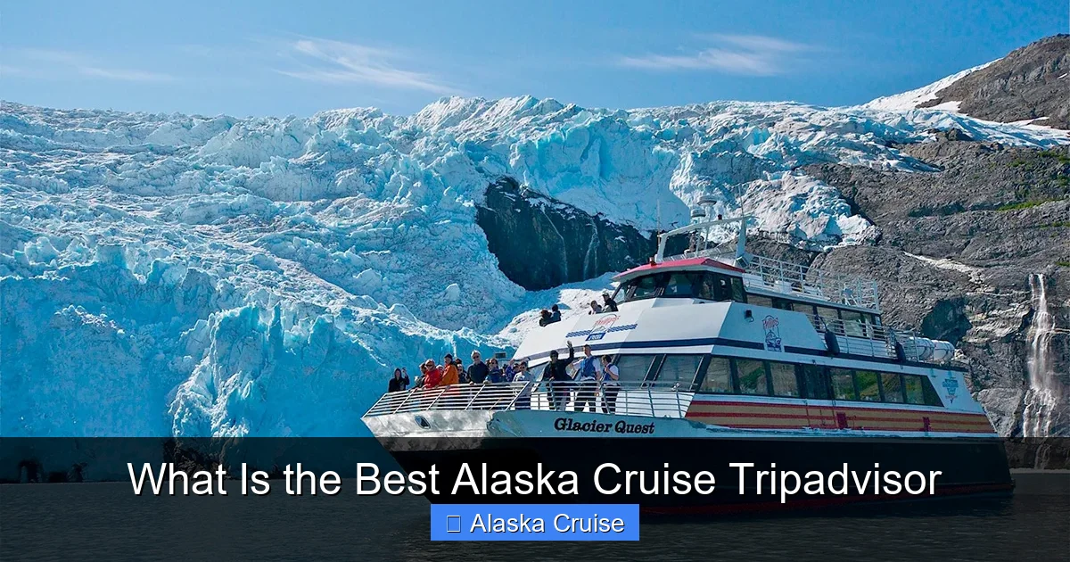 What Is the Best Alaska Cruise Tripadvisor