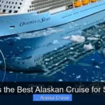 What Is the Best Alaskan Cruise for Seniors