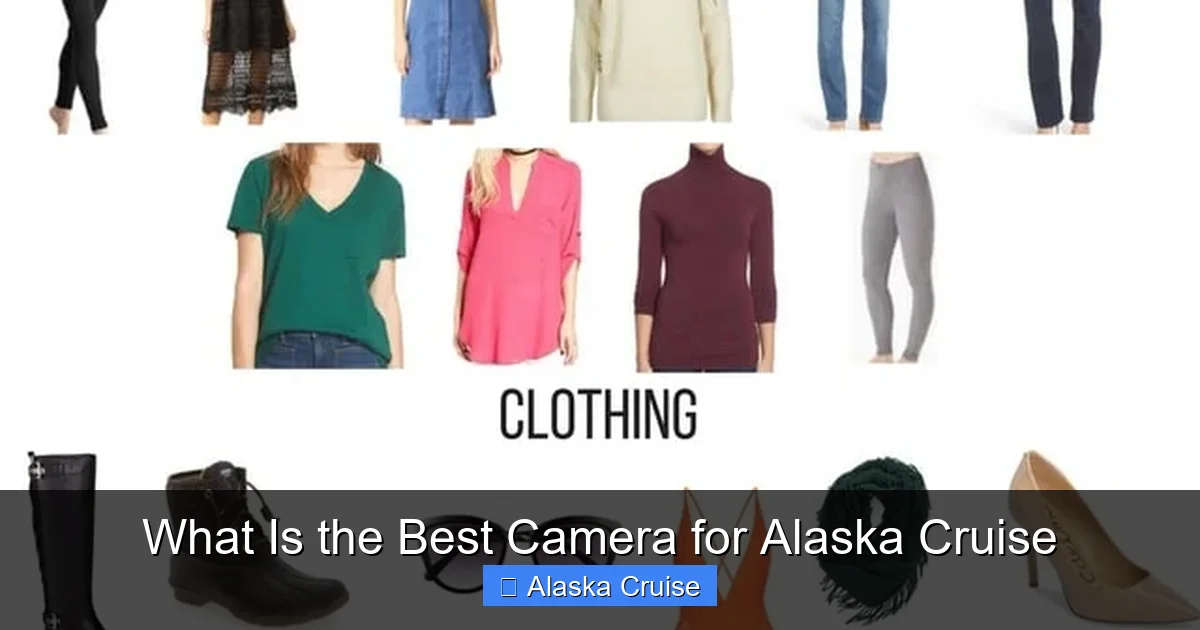 What Is the Best Camera for Alaska Cruise