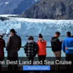 What Is the Best Land and Sea Cruise to Alaska