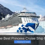 What Is the Best Princess Cruise Ship for Alaska