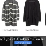 What Type of Alaskan Cruise Is Best
