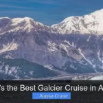What's the Best Galcier Cruise in Alaska