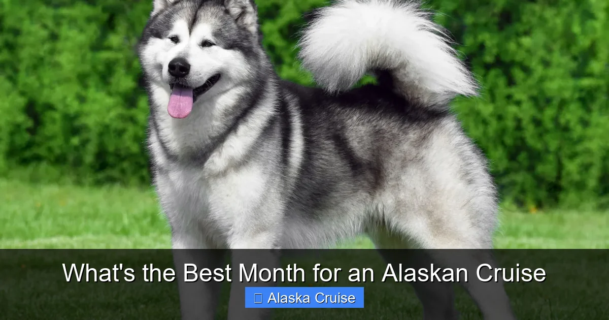 What's the Best Month for an Alaskan Cruise
