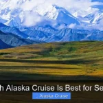 Which Alaska Cruise Is Best for Seniors