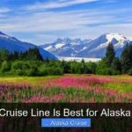 Which Cruise Line Is Best for Alaska Nature