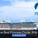 Which Is the Best Princess Cruise Ship for Alaska