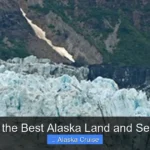 Who Has the Best Alaska Land and Sea Cruises