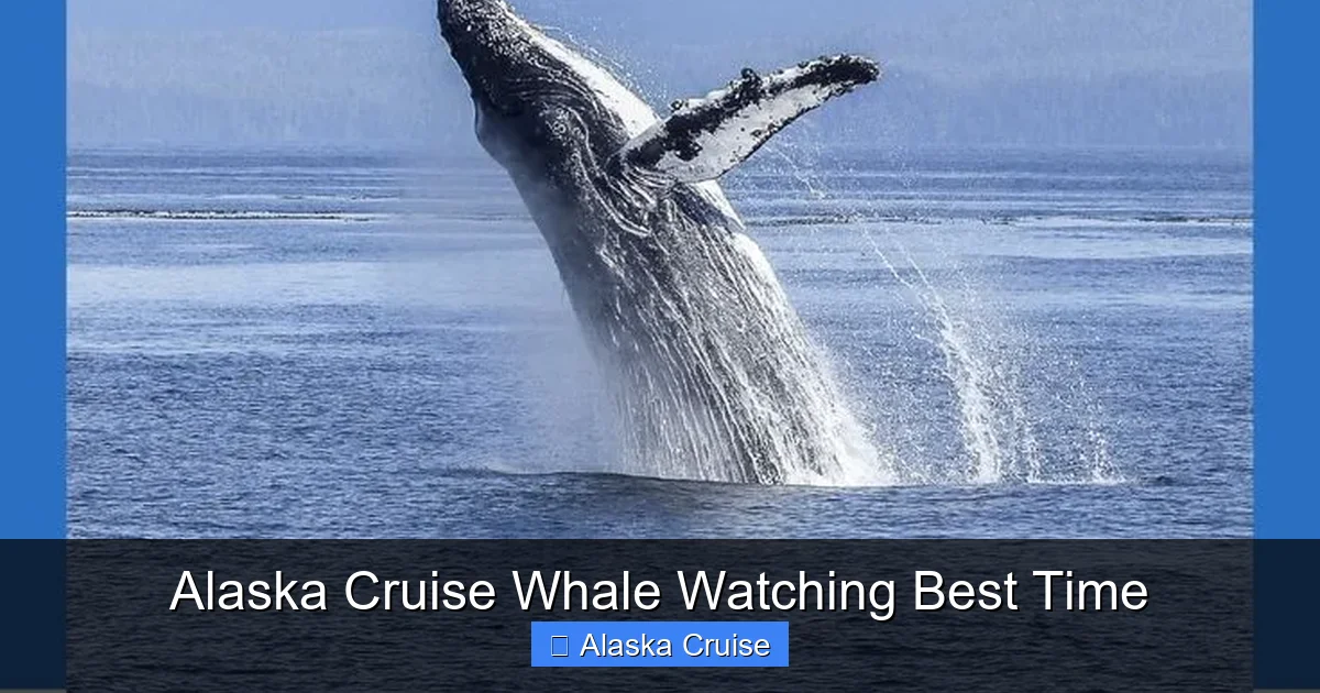 Alaska Cruise Whale Watching Best Time