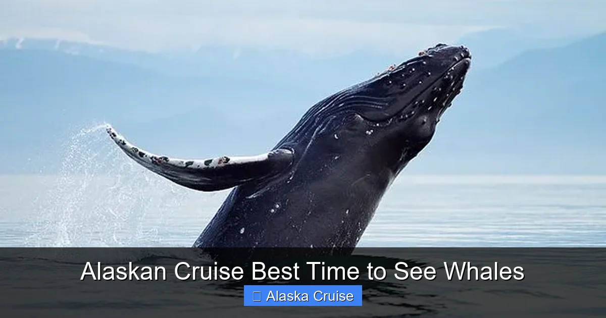 Alaskan Cruise Best Time to See Whales