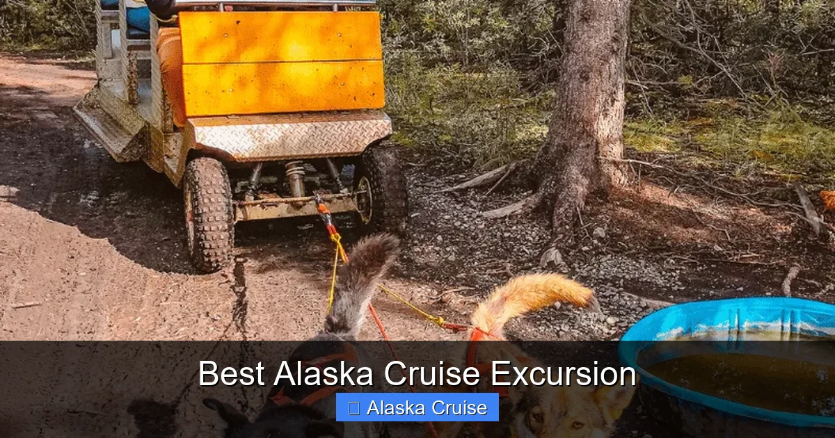 Best Alaska Cruise Excursion